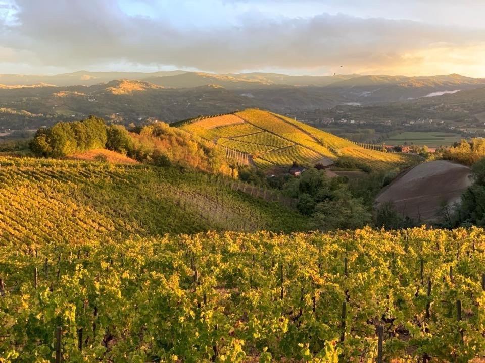 Cascina Marcantonio Acqui Terme Exterior foto