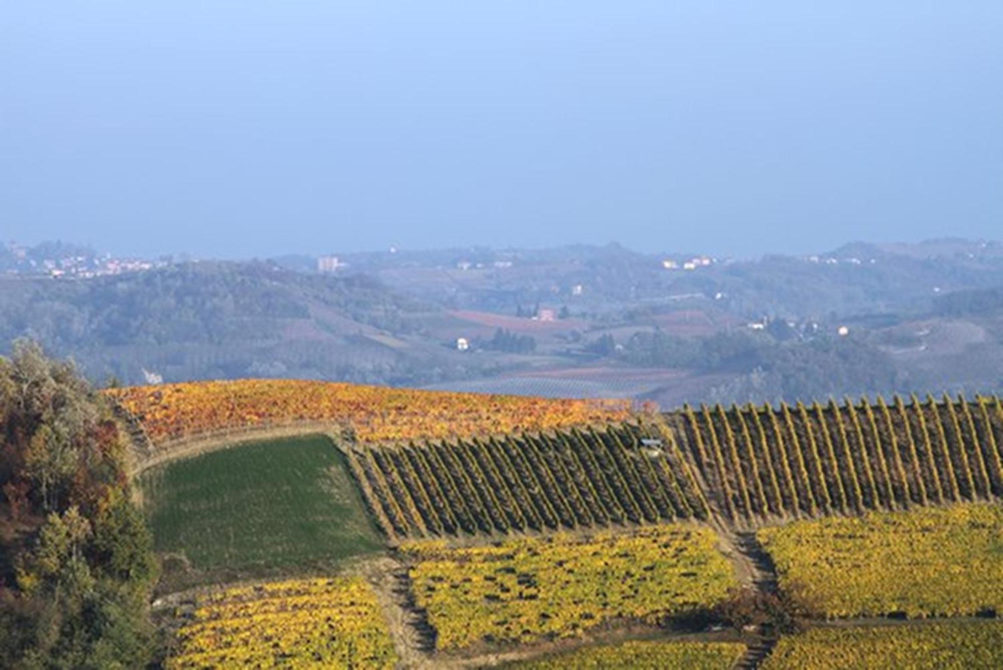 Cascina Marcantonio Acqui Terme Exterior foto